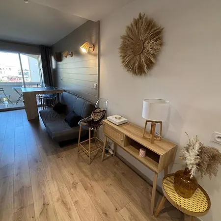 Moderne Au Port, Clim Et Wifi - Fr-1-723-177 Apartment Agde